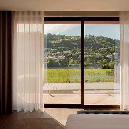 Quinta De Santo Antonio - &