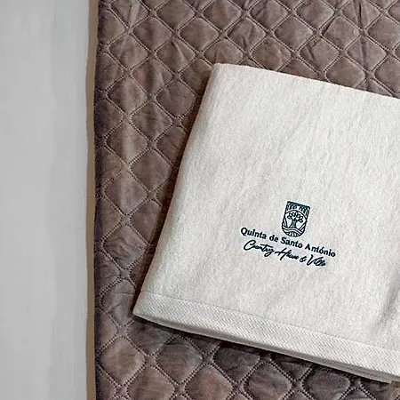 Quinta De Santo Antonio - & Marco de Canavezes